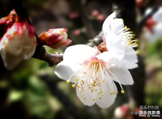 【每周精帖匯135期】Galaxy A8s獨(dú)角精靈版上市啦