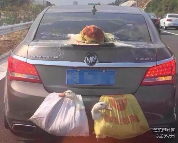 【2月第三周話題活動(dòng)】春節(jié)返程，你爸媽給你帶什么好吃的了