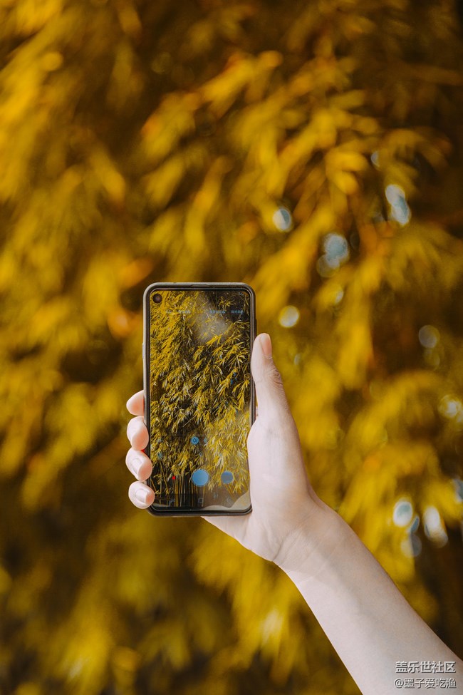 黑瞳全視屏-三星A8s攝影評測