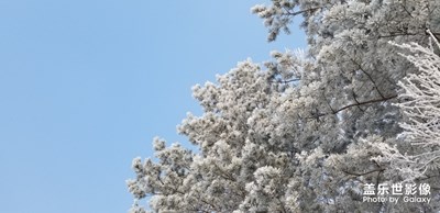 最美雙城，最棒三星！