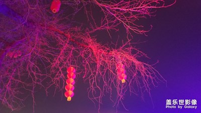 【正月十五】+鬧花燈，