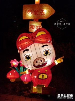 【正月十五】+閑游大唐芙蓉園