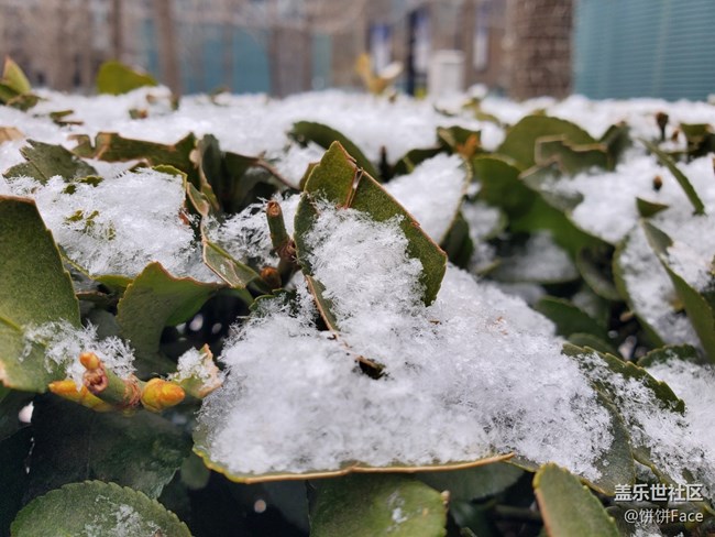 “十代”在召喚 三星Galaxy S10系列評測 “十代”在召喚 三星Galaxy S10系列評測