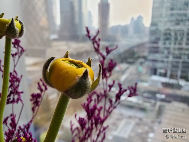 “十代”在召喚 三星Galaxy S10系列評測 “十代”在召喚 三星Galaxy S10系列評測