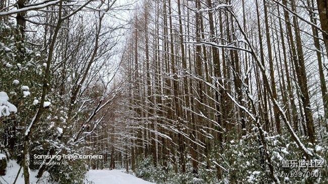 【A8s星粉體驗(yàn)團(tuán)】A8s！靚麗的外觀 搶眼的拍照