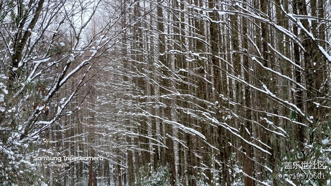 【A8s星粉體驗(yàn)團(tuán)】A8s！靚麗的外觀 搶眼的拍照