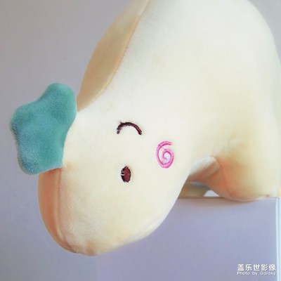 這個(gè)叫啥子呀