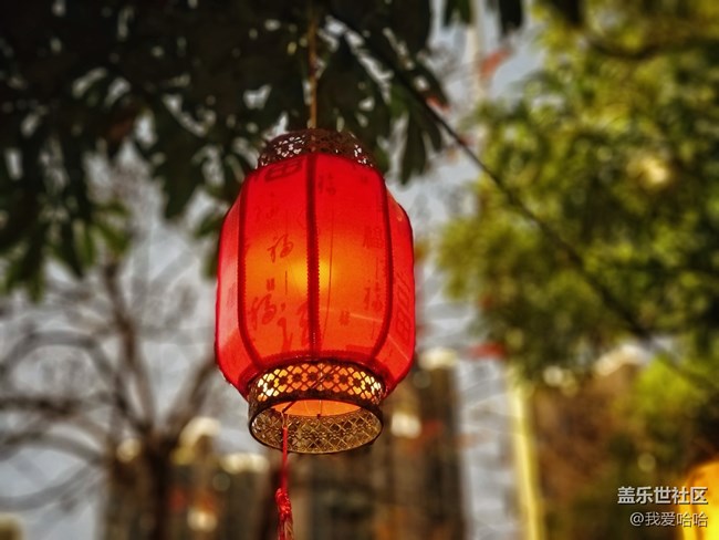 【我的上元夜】- 看花燈