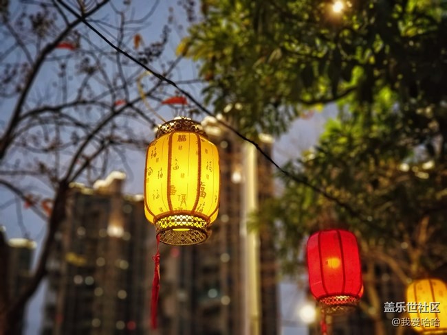 【我的上元夜】- 看花燈