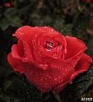 春雨潤(rùn)無(wú)聲