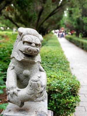 【愛上一座城】+小城泉州