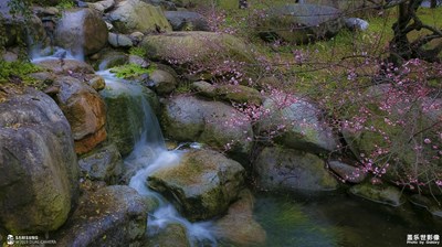 W2019 我們能記錄的還有很多