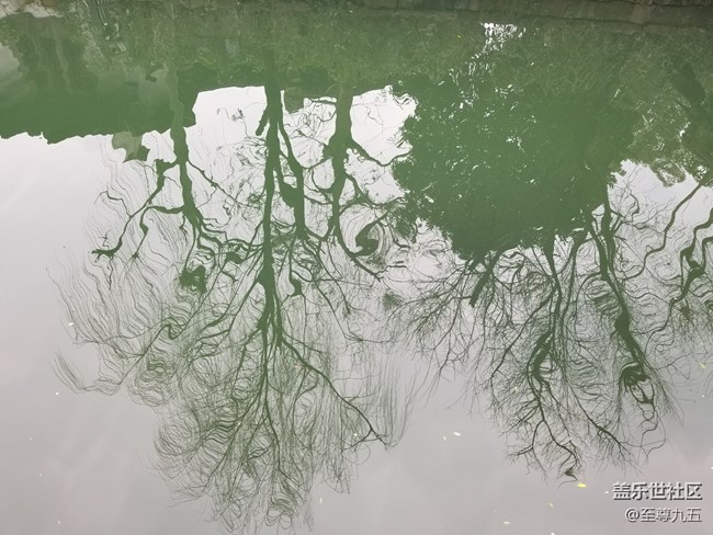 S10發(fā)布會之江南烏鎮(zhèn)——隨手拍節(jié)選 S10發(fā)布會之江南烏鎮(zhèn)——隨手拍節(jié)選