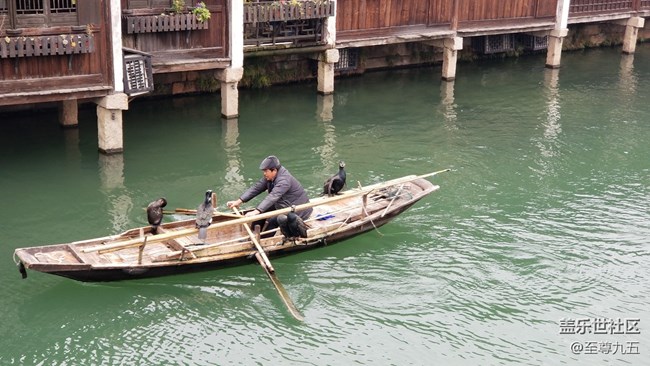 S10發(fā)布會之江南烏鎮(zhèn)——隨手拍節(jié)選 S10發(fā)布會之江南烏鎮(zhèn)——隨手拍節(jié)選