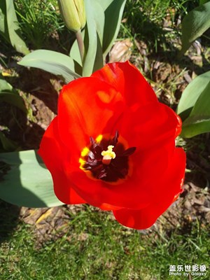 每一張都是壁紙 有木有