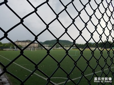 愛上拍照