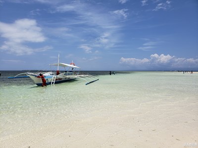 你純凈而美麗。