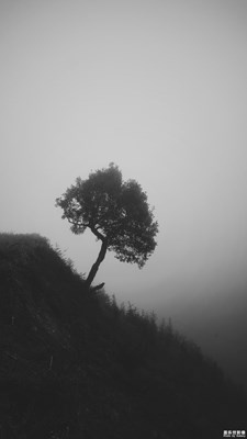 【南方故鄉(xiāng)】