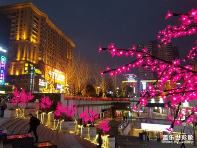 【魅夜】+夜長(zhǎng)沙