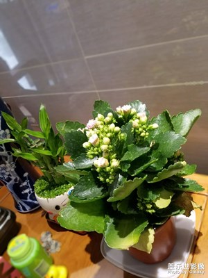 未命名標題
