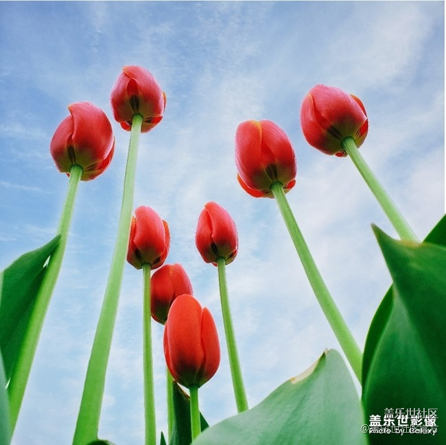 【每周精帖匯137】總裁也來參與Galaxy S10首銷活動(dòng)啦