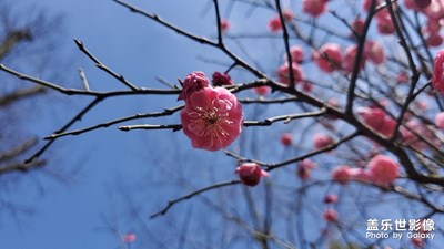 發(fā)現(xiàn)生活的美。