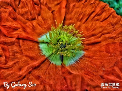 【By Galaxy S10】春光乍泄