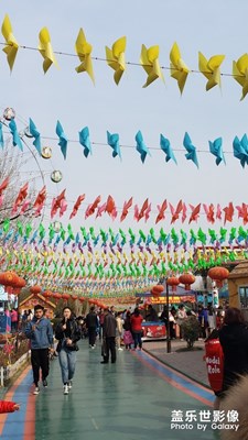 【時(shí)光】+憶時(shí)光