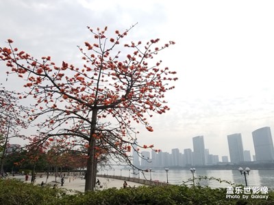 【時光】+匆匆流年