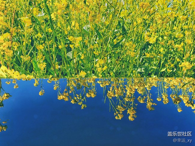 三星Galaxy A8s圖賞