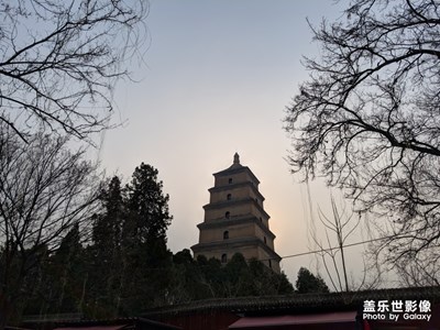 谷歌相機(jī)加持下的老旗艦S8