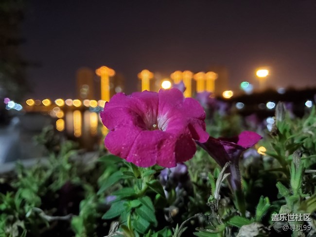 為什么我覺得S10拍出來(lái)的照片很差呢，沒有細(xì)節(jié)