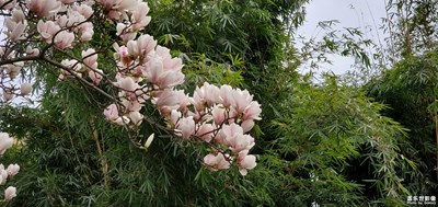 三星S10超廣角廣角和變焦的體驗