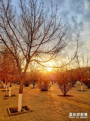 夕陽(yáng)無(wú)限好