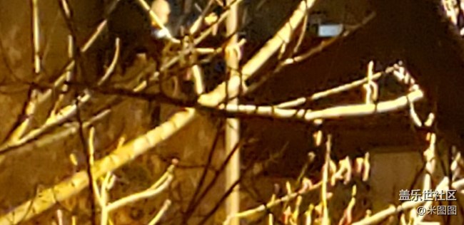 s10的夜拍到底渣不渣？