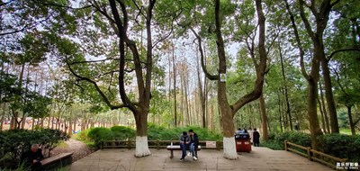 【三星S10】成都市植物園采風(fēng)