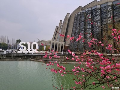 【踏春】+春風(fēng)十里