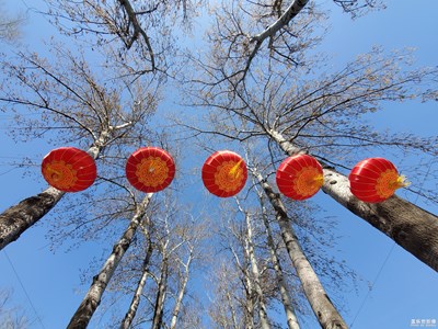 【踏春】+無(wú)限春光。