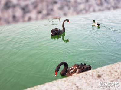 又到一年，春暖花開(kāi)