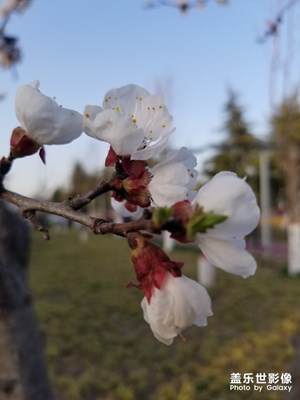 公司園區(qū)隨拍