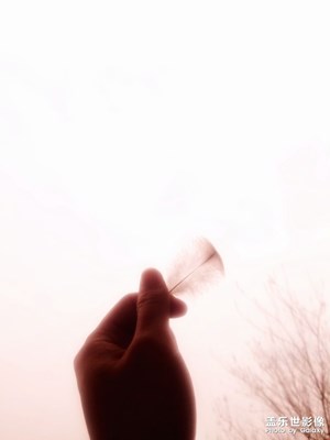 我又來(lái)發(fā)照片了??