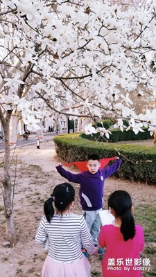 【踏春】+ 春已漸近春已到