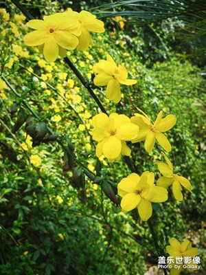 【踏春】+隨手拍春來到