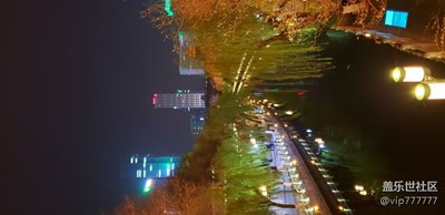 隨手拍-夜景