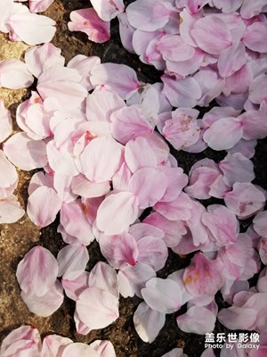 【踏春】+腳踏三月春光