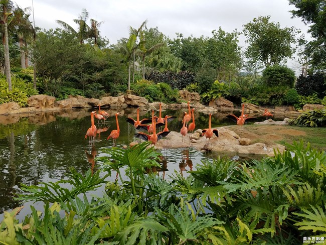 可愛的你們。