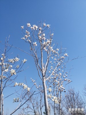 【踏春】+隨便走走，莫負(fù)春光