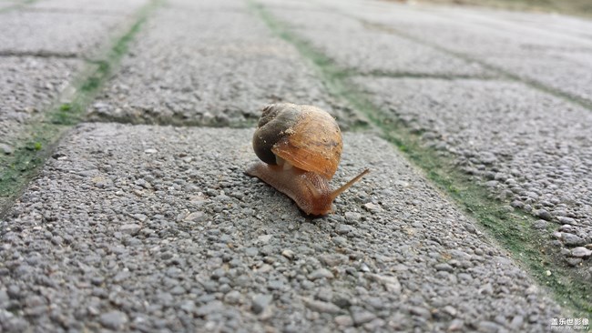 可愛的你們。