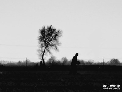 春種一粒粟，秋收萬顆子