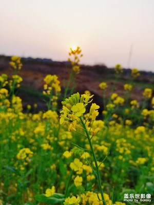 【風光之美】+春游